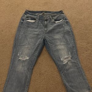 Judy Blue Skinny Fit Capris